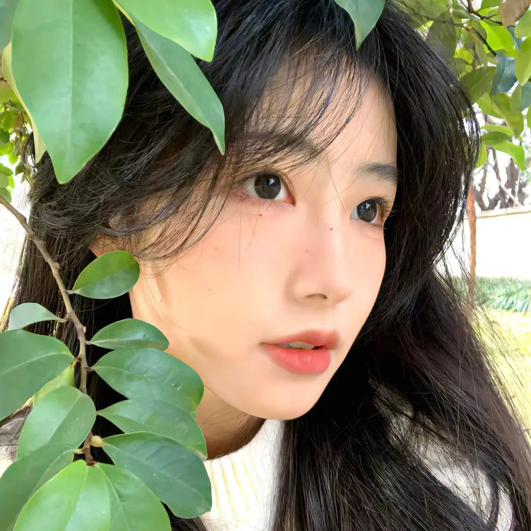生命最后一个月的花嫁