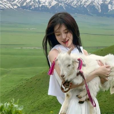 孤儿历险记